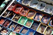 Exotic Seafood At Hongkong!